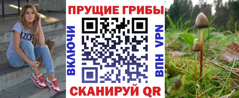 Купить где  Суздаль  Галлюциногенные грибы Cubensis 